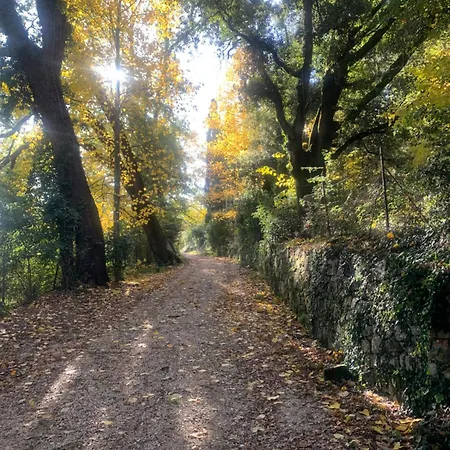 Montefreddo Toscana * San Casciano dei Bagni