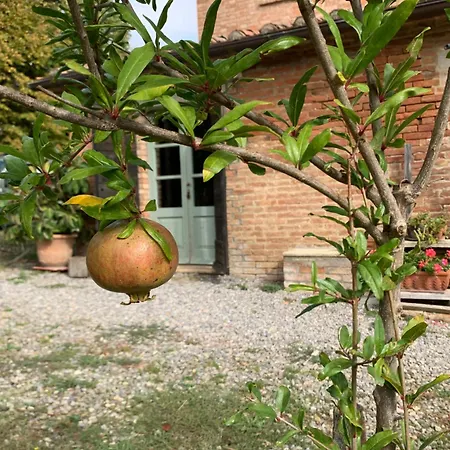 Aparthotel Borgo Montefreddo Toscana *